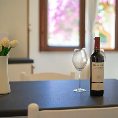Con Veranda, Parcheggio E Wi-fi Apartment